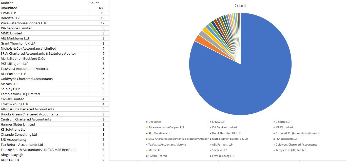 List of auditors extracted from financial statements using ChatGPT